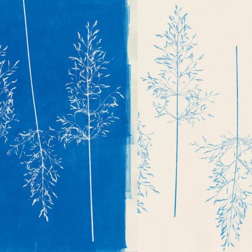 PLANTES ET PETITES BÊTES À IMPRIMER