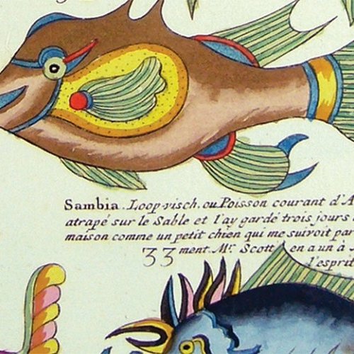 AU COEUR DES RÉSERVES PATRIMONIALES