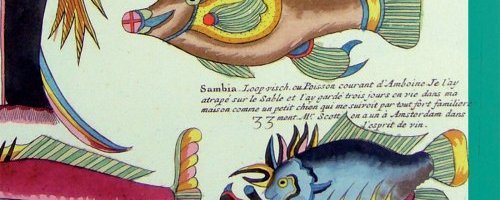 AU COEUR DES RÉSERVES