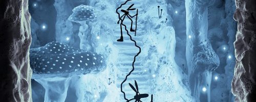 UN INSTANT AVEC... MATTHIAS PICARD