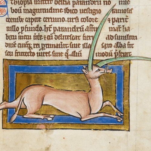 PRESENTATION D’ENLUMINURES
