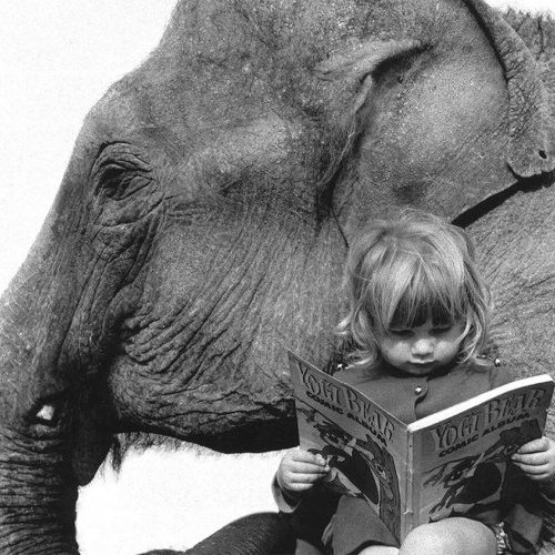 Lectures pour grandes oreilles